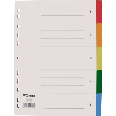 Register A4 5-teilig blanko