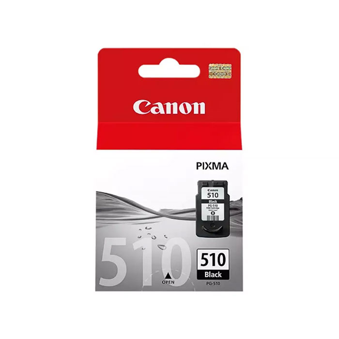 Tinte Canon 2970B001 schwarz