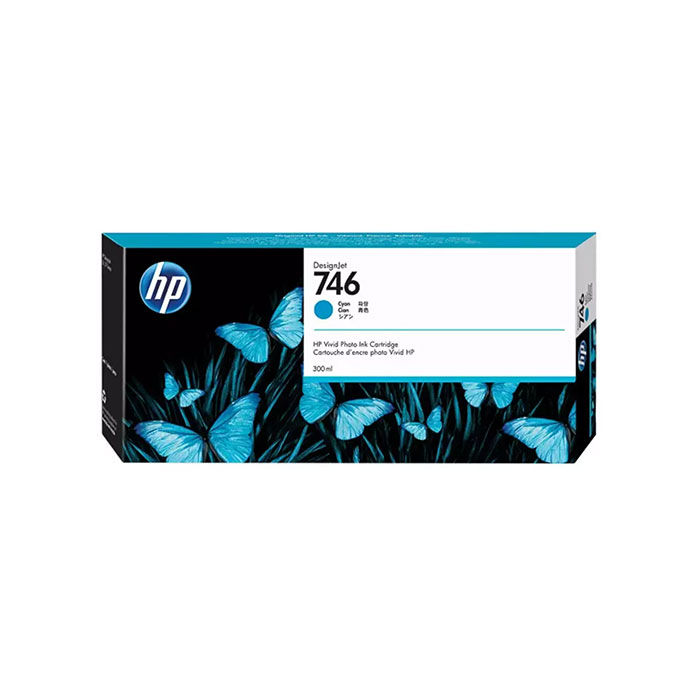 HEWP2V80A