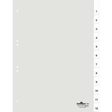 Register A4 12-teilig blanko